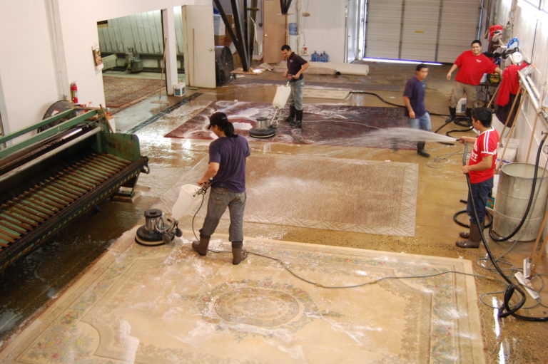 Richmond VA Rug Cleaning Hadeed Mercer Rug Cleaning